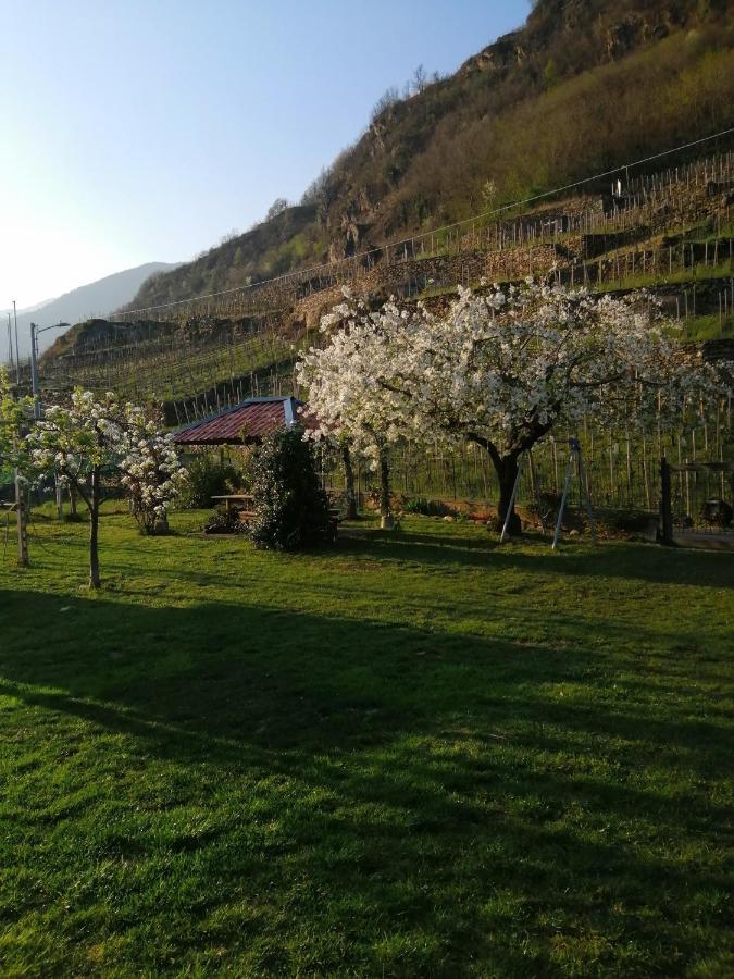 La Cà del CUNFEC Apartamento Sondrio Exterior foto