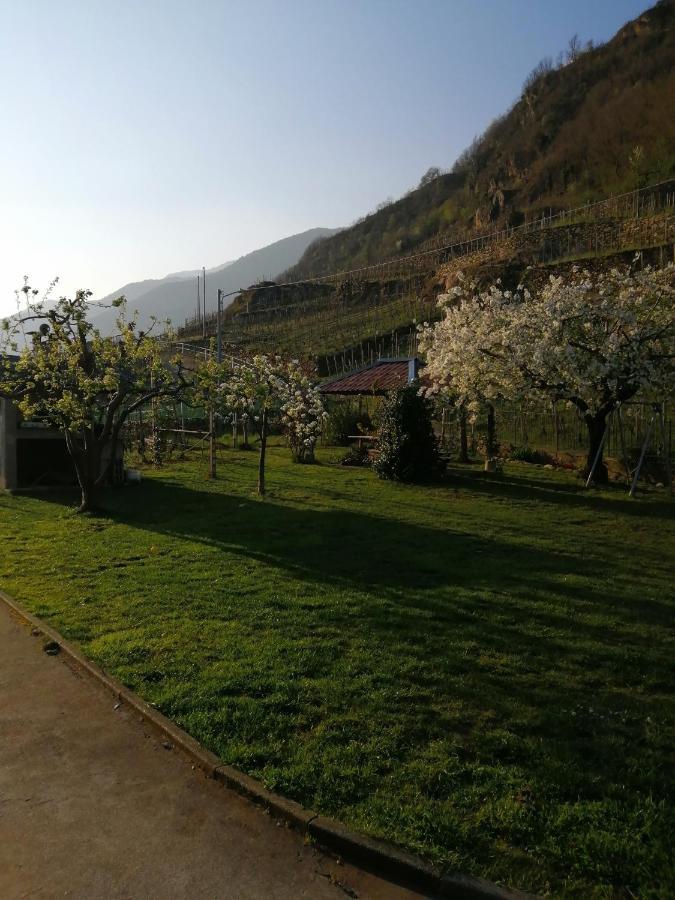 La Cà del CUNFEC Apartamento Sondrio Exterior foto