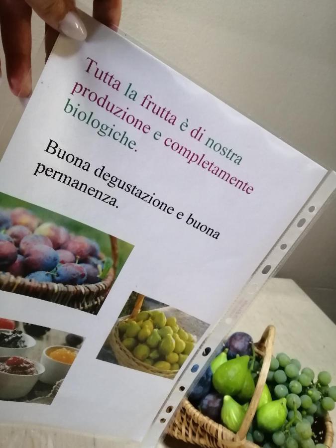La Cà del CUNFEC Apartamento Sondrio Exterior foto